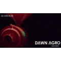 DAWN AGRO Molino harinero de grano de maíz de trigo que hace la máquina de fresado